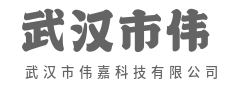 链接现在,定义明天-武汉市伟嘉科技有限公司